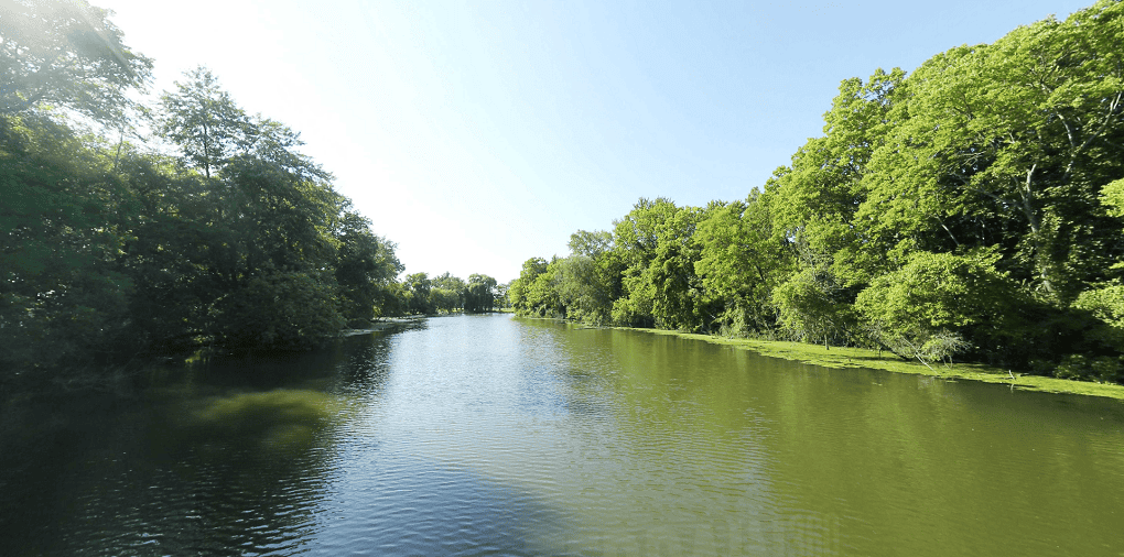 Peaceful river flowing between dense green trees on both sides under a clear blue sky, with sunlight reflecting on the water's surface.