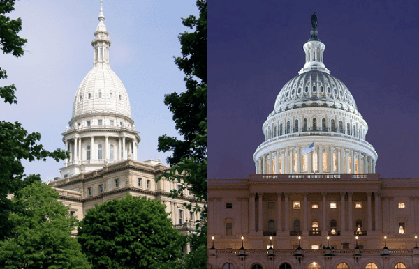 Side-by-side view of the Michigan State Capitol building during the day and the United States Capitol building illuminated at night.