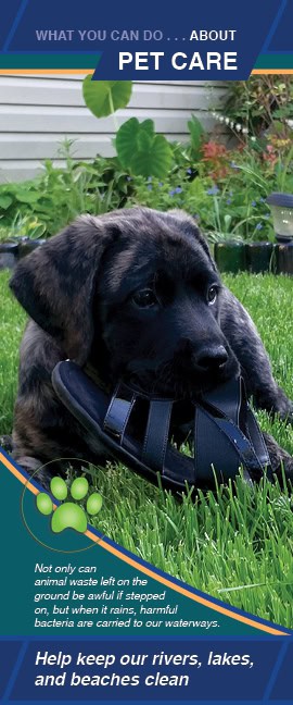 Informational flyer showing a black and brown puppy chewing on a sandal while sitting on green grass. Text explains the importance of cleaning up pet waste to prevent bacteria from reaching rivers, lakes, and beaches. A message at the bottom encourages keeping waterways clean.