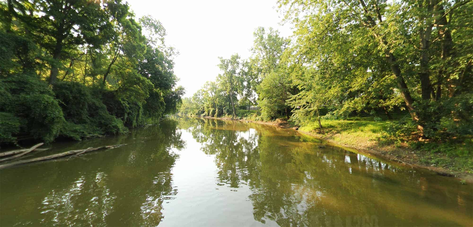Calm section of the River Raisin Water Trail flowing between lush, tree-lined banks with branches extending over the water and reflections visible on the surface under soft sunlight.