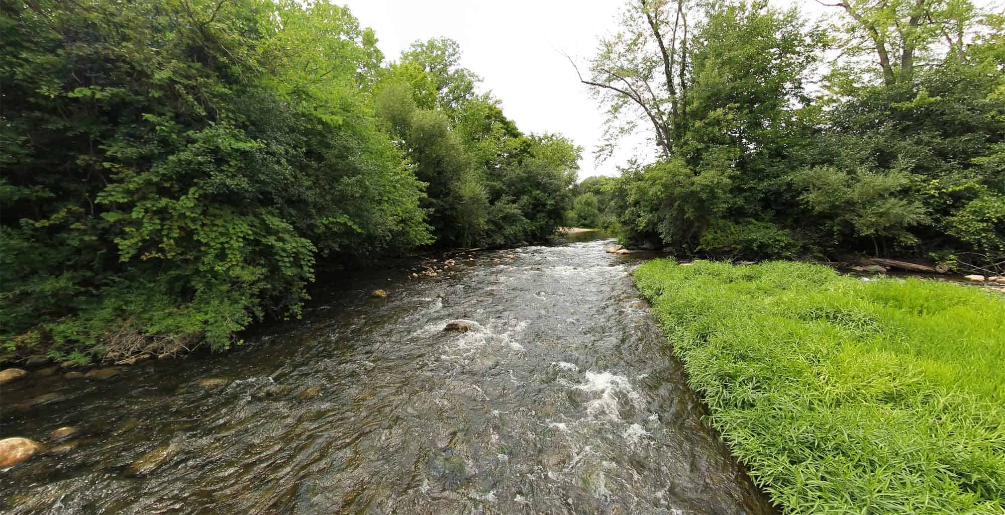 Shallow river with visible rocks and gentle rapids flowing through a forested area, bordered by lush green vegetation and dense trees on both sides.
