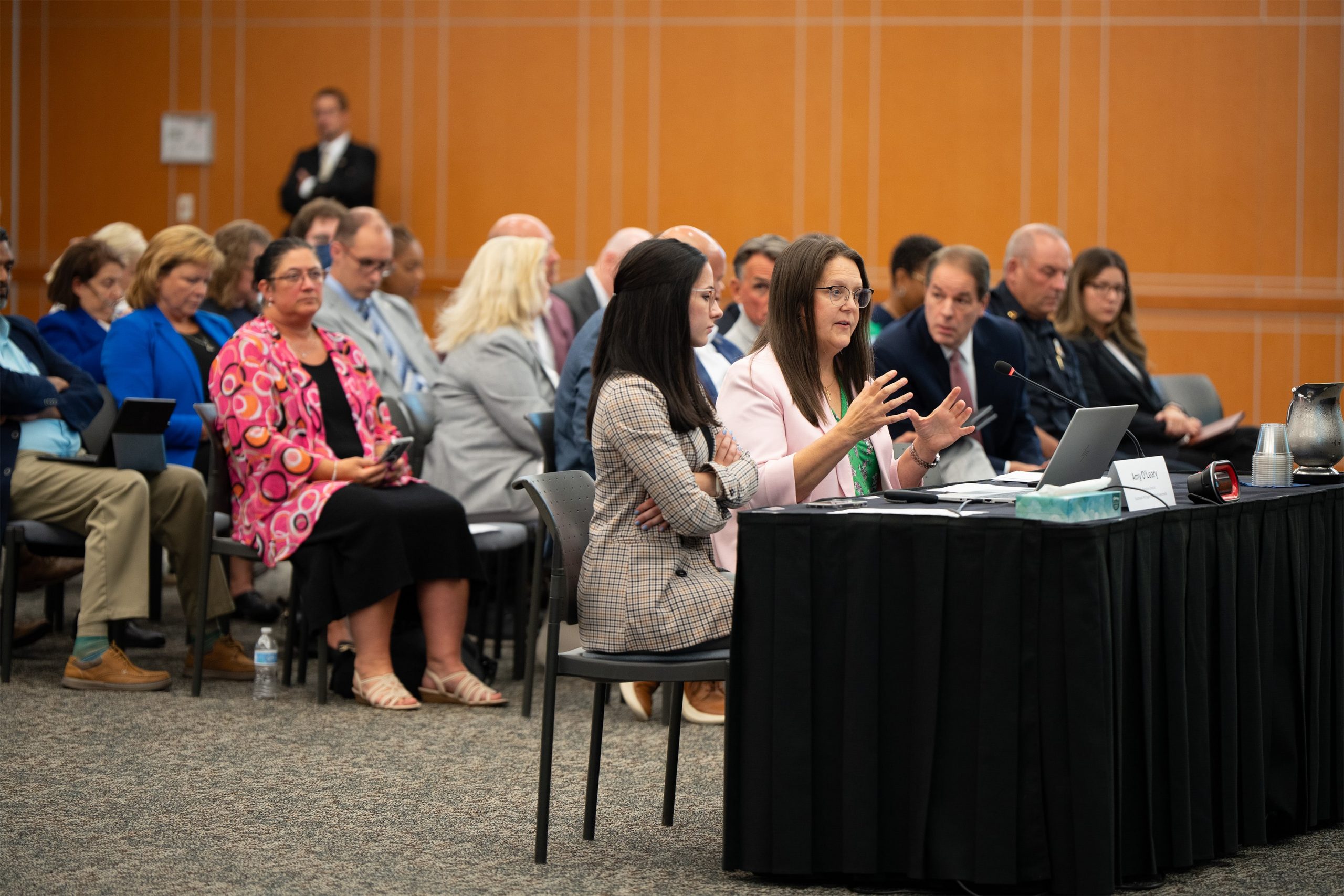 Audience members listen attentively as a person gestures while testifies at a conference table during a Subcommittee hearing.