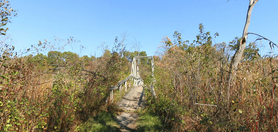 Bald_Mountain