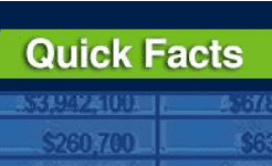 thumbnail for census 2020 quick facts document