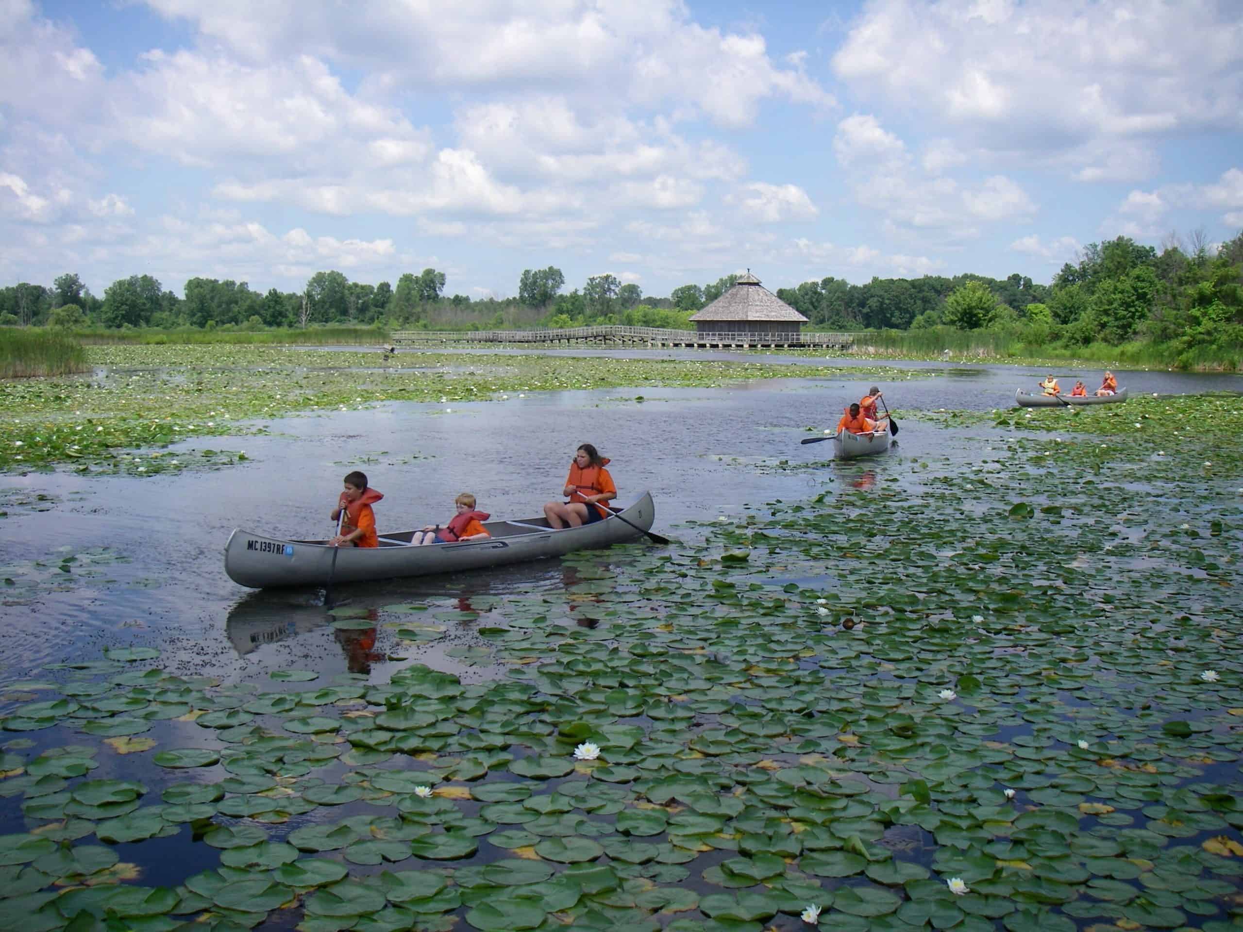 Two canoes on a body of water with lily pads