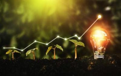 Four plants next to a light blub with a trend line going up above
