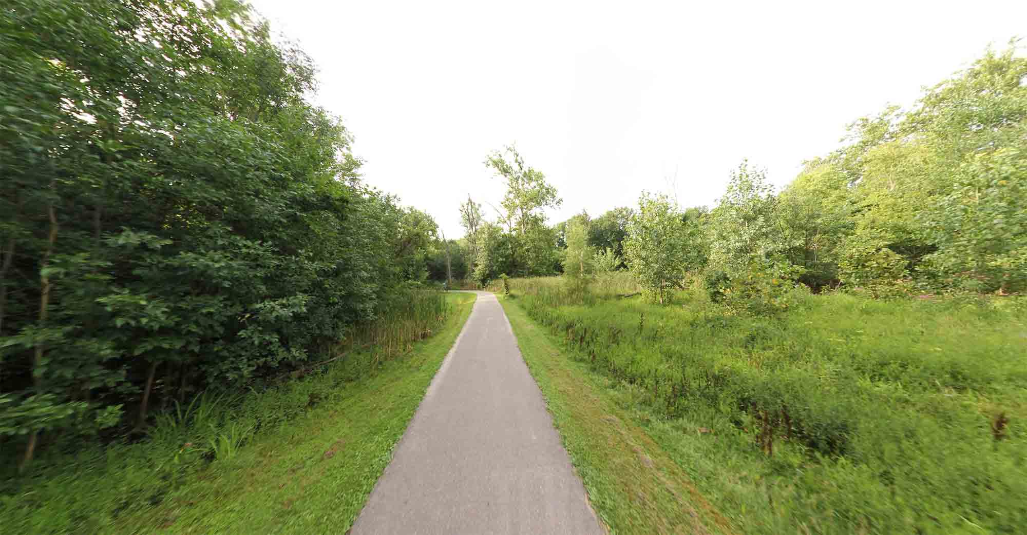 Hines Park Trail