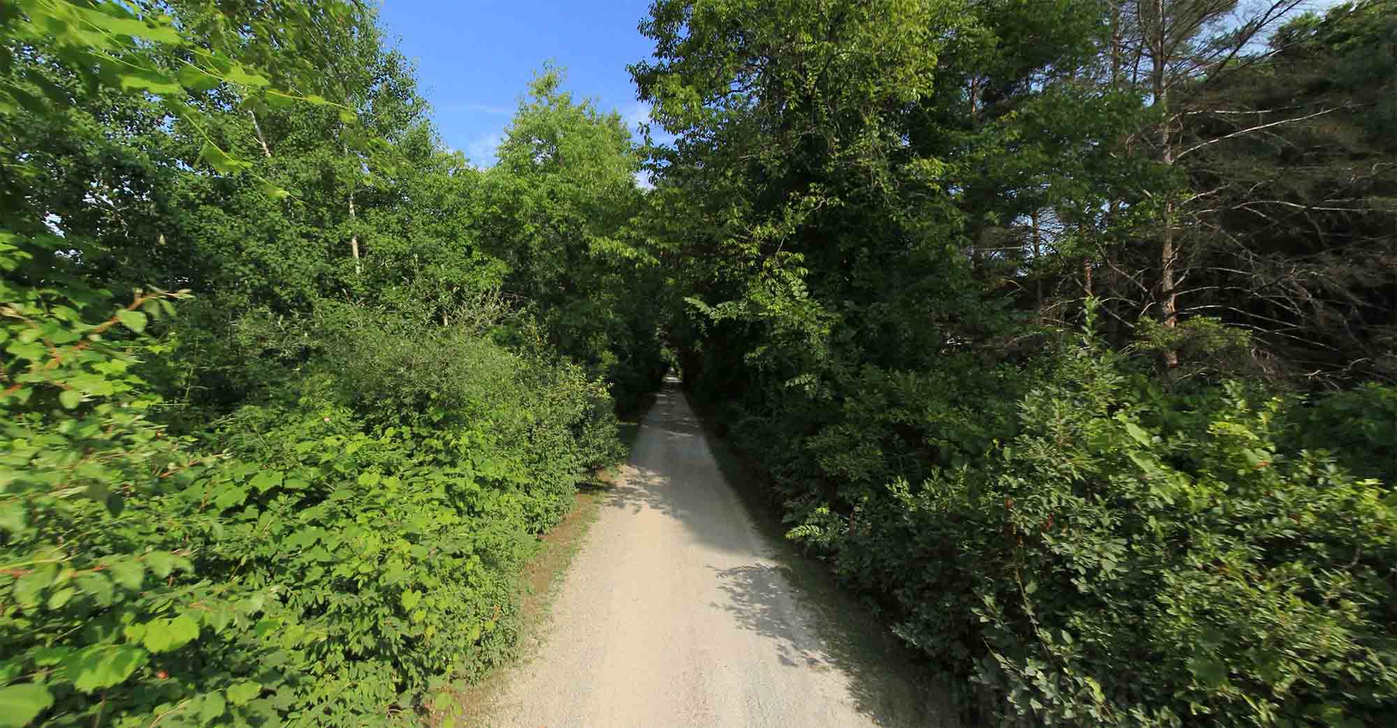 Paint Creek Trail