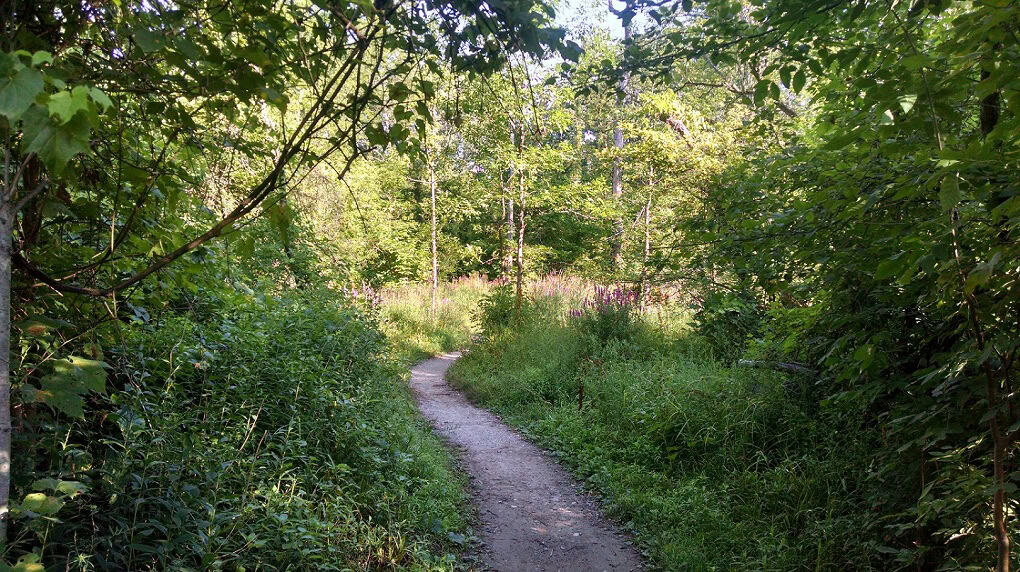 Clinton River Park Trail: Gravel Hiking Path