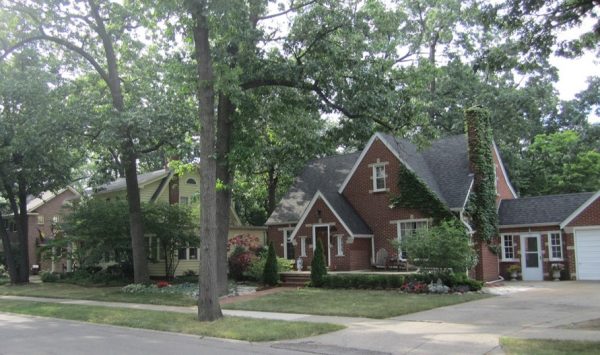 A picture of a tree-lined residential street with houses.