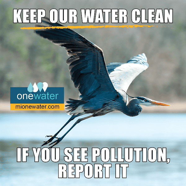 Heron - If you see pollution report it.