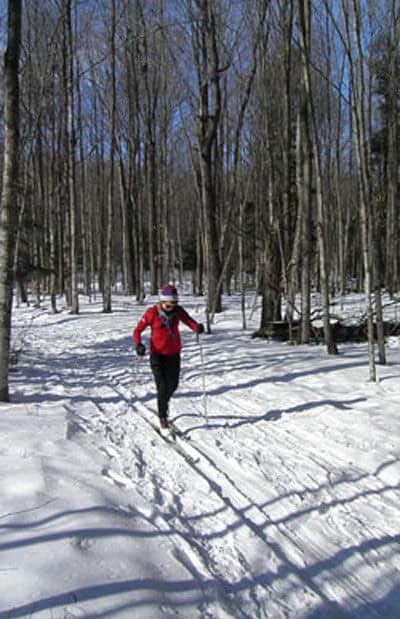 Pinckney State Recreation Area