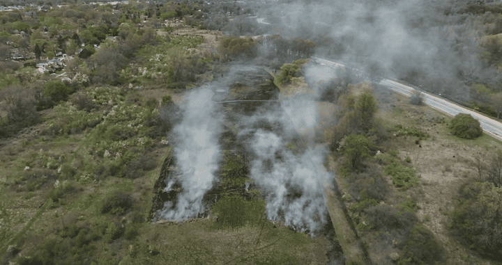 Rouge Park prescribed burn Rouge Park prescribed burn