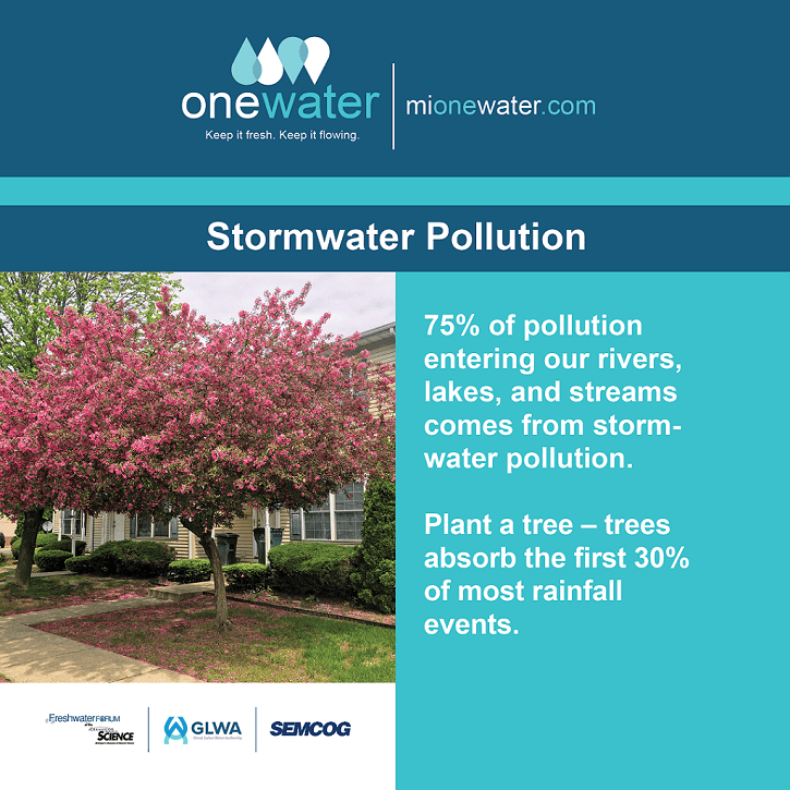 Stormwater Pollution Plant A Tree