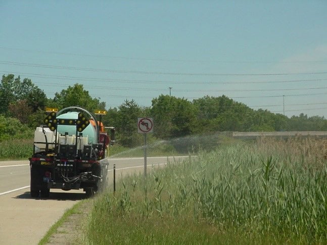 Pictures of Spraying phragmites