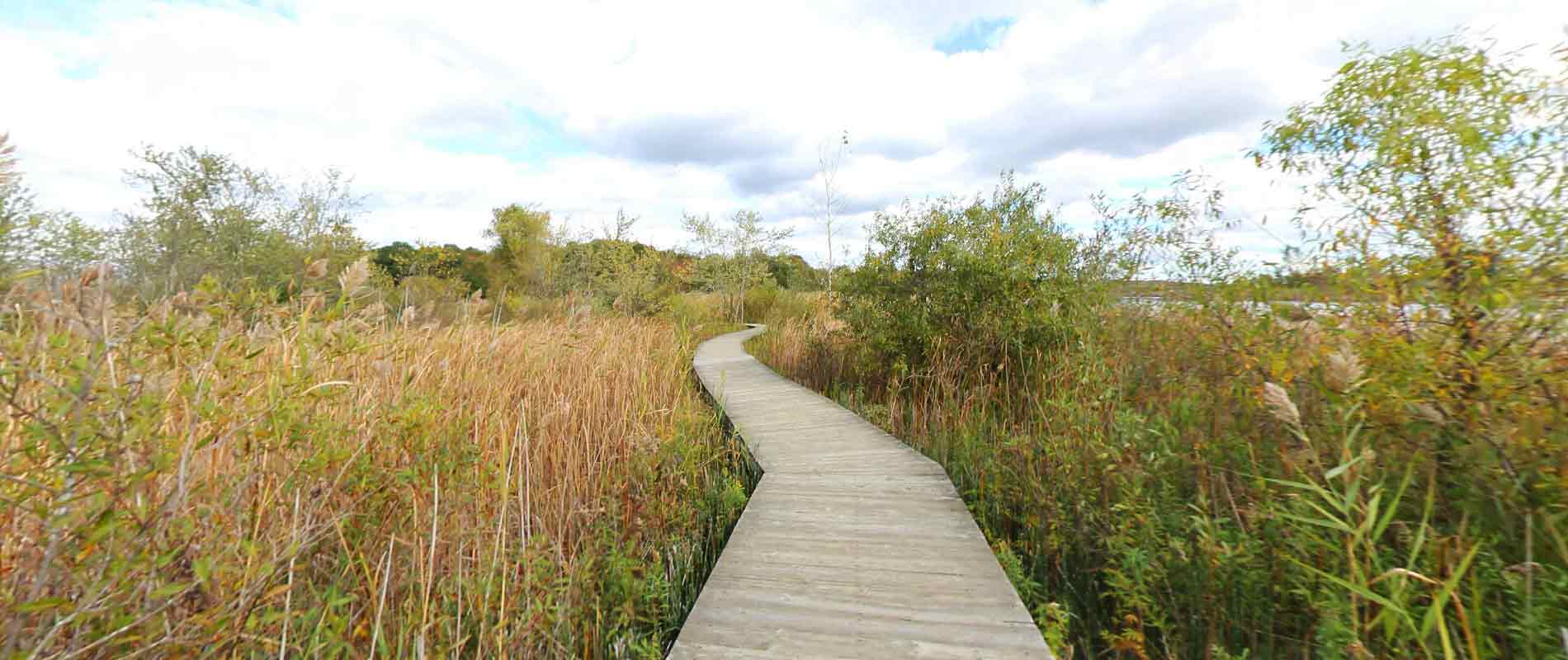 Crosswinds Marsh Map Webpage