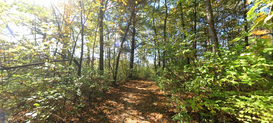 Bald Mountain State Recreation Area
