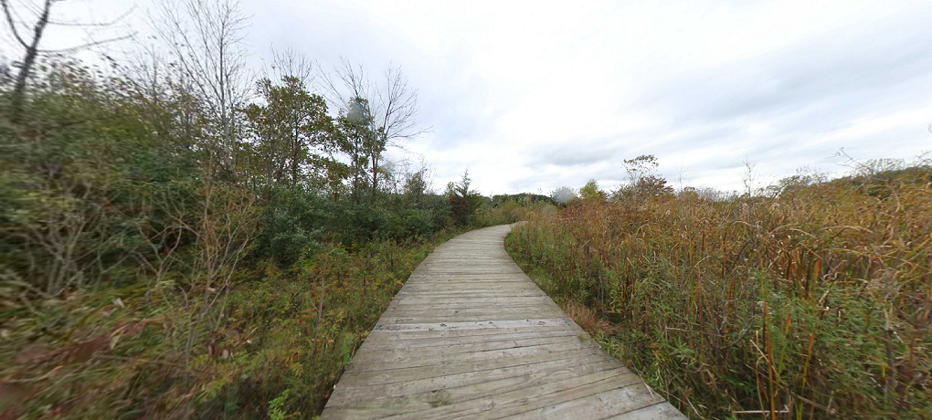Crosswinds Marsh Trails