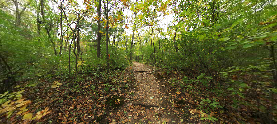 Pinckney State Recreation Area