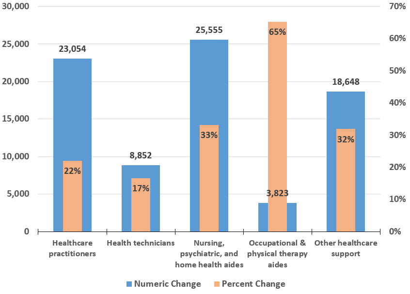 healthcare practitioners percent change at 22 percent and numeric chnage at 23,054. Health techicians percent change at 17 percent and numeric change at 8,852. Nursing, psychiatric, and home health aides percent change at 33 percent and numeric change at 25,555. Occcupational and pysical therapy aides percent change at 65 percent and numeric change at 3,823. Other healthcare support percent change at 32 percent and numeric change at 18,648.