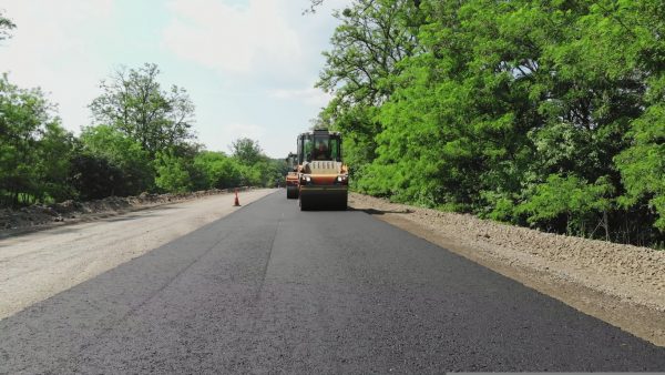 A road roller smooths fresh asphalt on a rural roadway surrounded by trees, with traffic cones marking the construction area