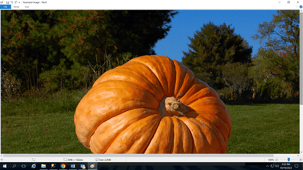 full scale image of a large pumpkin