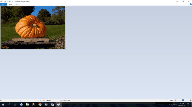 compressed image of a large pumpkin