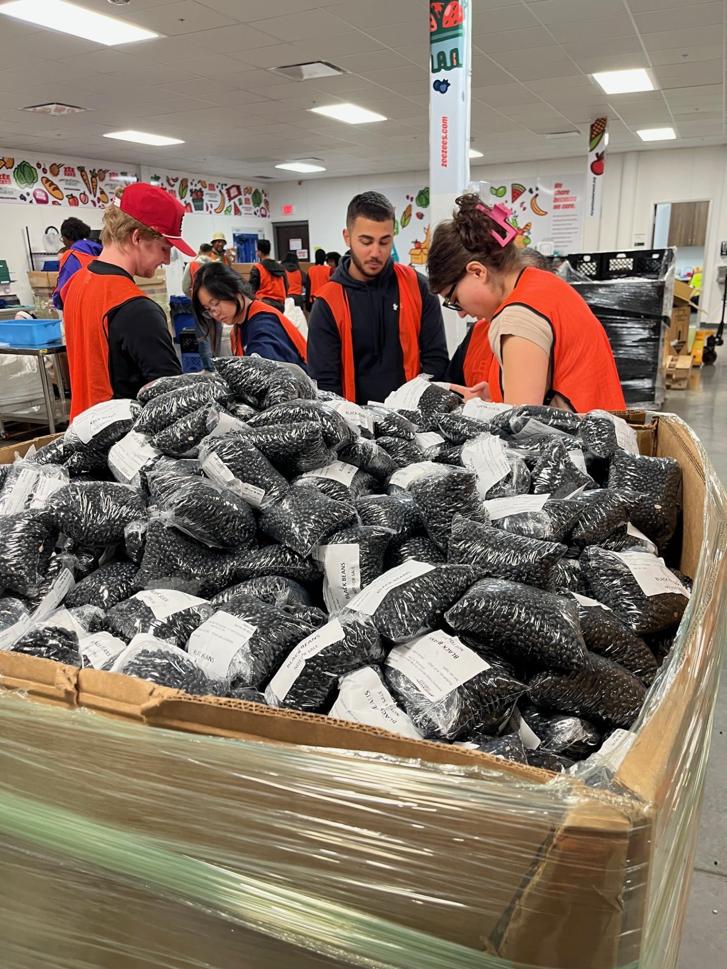 SEMCOG| image: thumbnail_IMG_1891-min